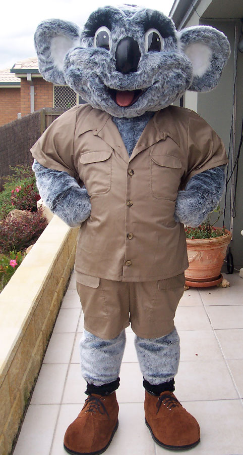 koala koala