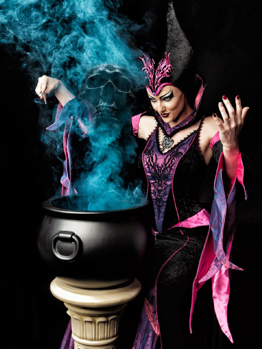 Costume Designer Costume and Mascots Costume Hire Sunshine Coast, Queensland