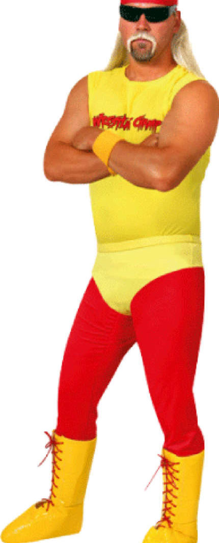 Hogan Wrestler Adult Costume
